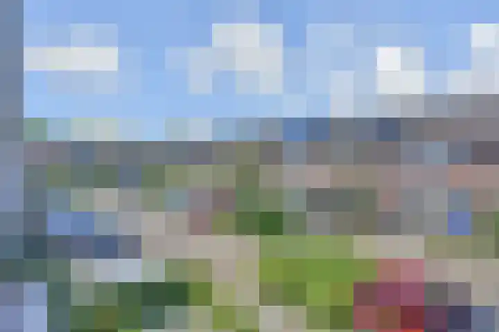 Lammerweide 28 Zoetermeer thumbnail 40