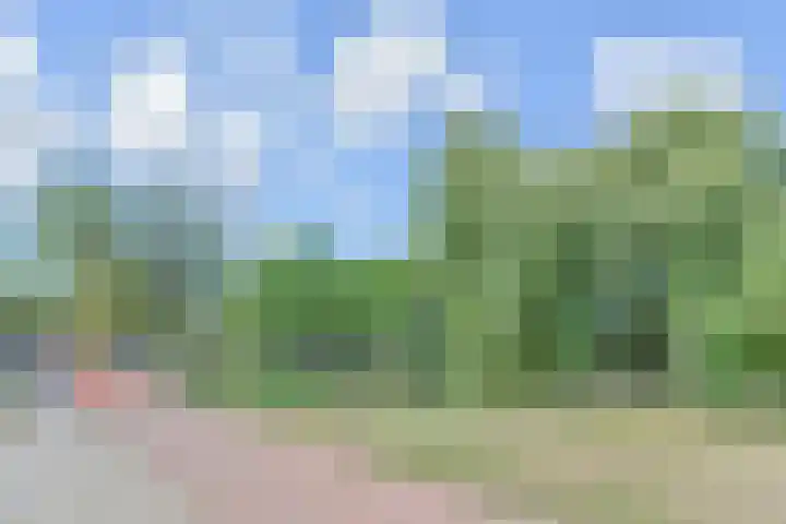Lammerweide 28 Zoetermeer thumbnail 41