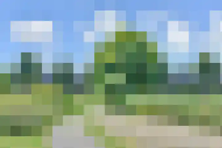 Lammerweide 28 Zoetermeer thumbnail 42