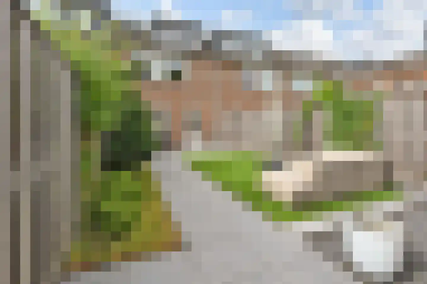 Lammerweide 32 Zoetermeer thumbnail 20