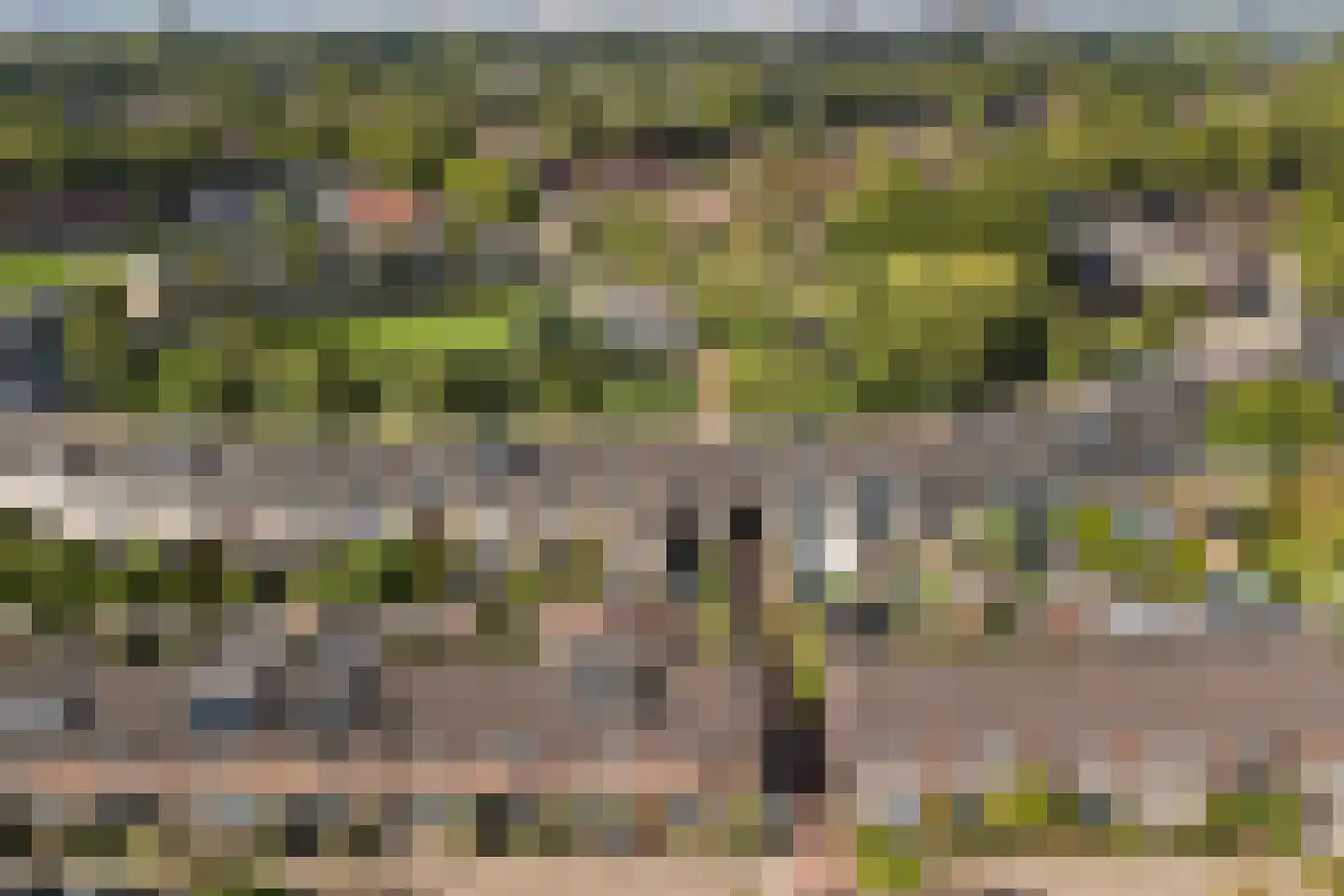 Lammerweide 37 Zoetermeer thumbnail 34