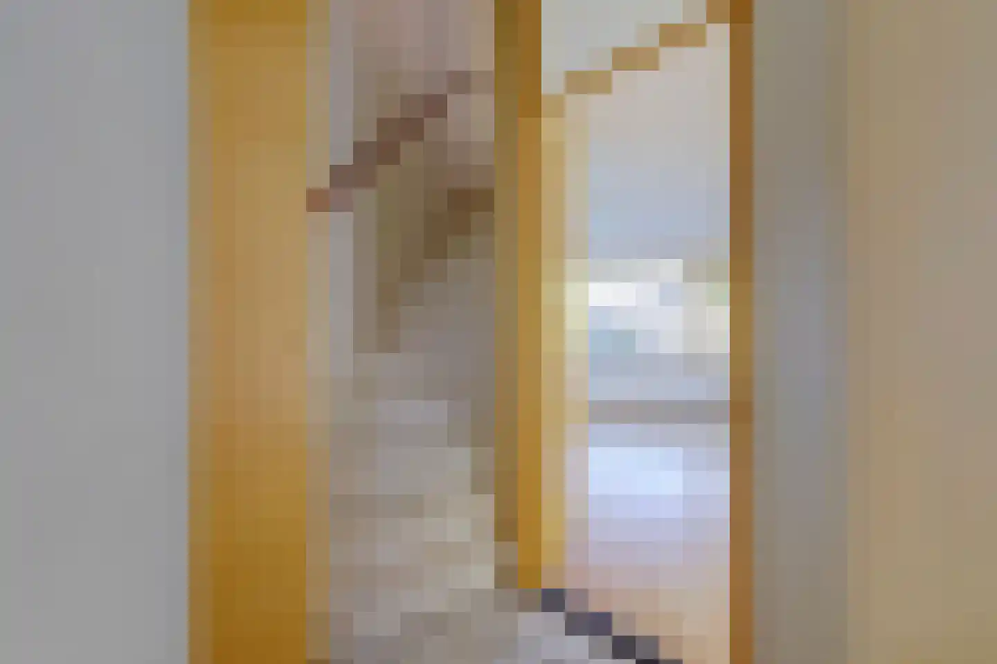 Lammerweide 37 Zoetermeer thumbnail 9