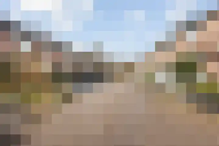 Lammerweide 51 Zoetermeer thumbnail 34