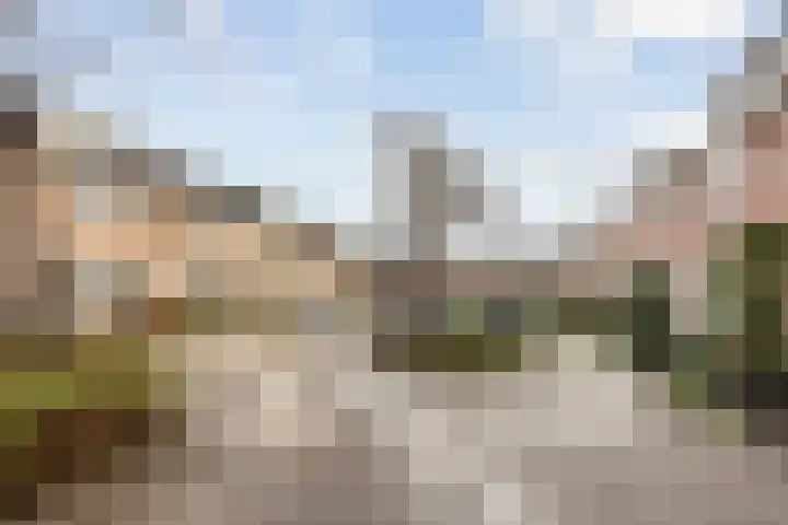 Lammerweide 51 Zoetermeer thumbnail 35
