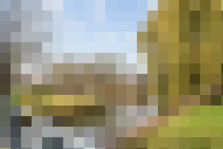 Lammerweide 51 Zoetermeer thumbnail 36