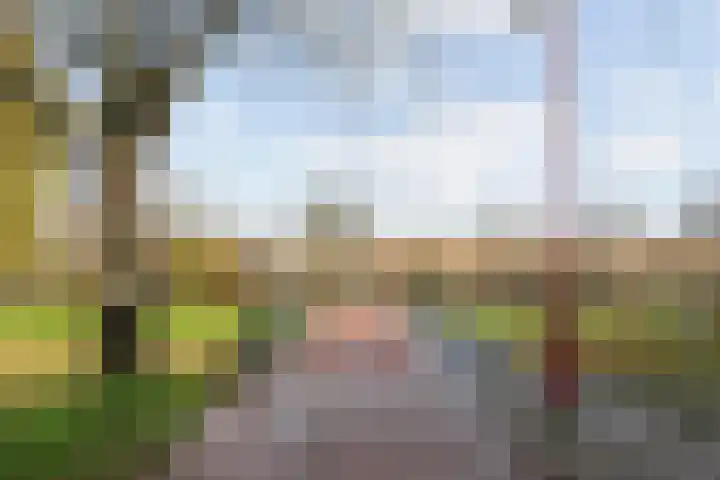 Lammerweide 51 Zoetermeer thumbnail 37