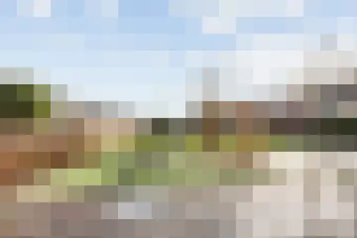 Lammerweide 51 Zoetermeer thumbnail 38