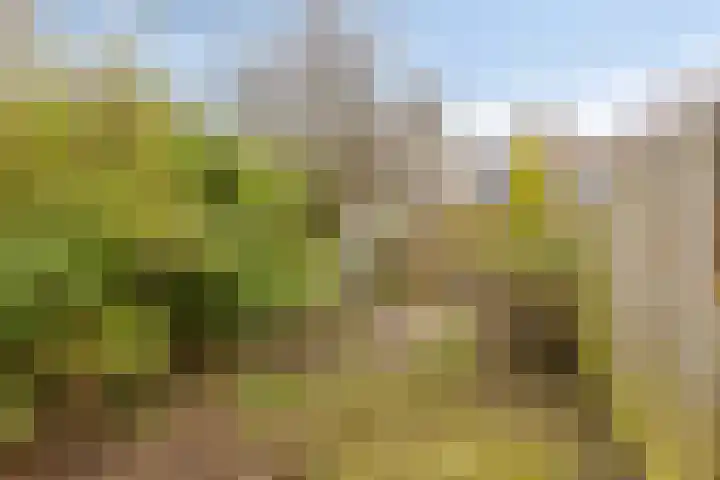 Lammerweide 6 Zoetermeer thumbnail 14