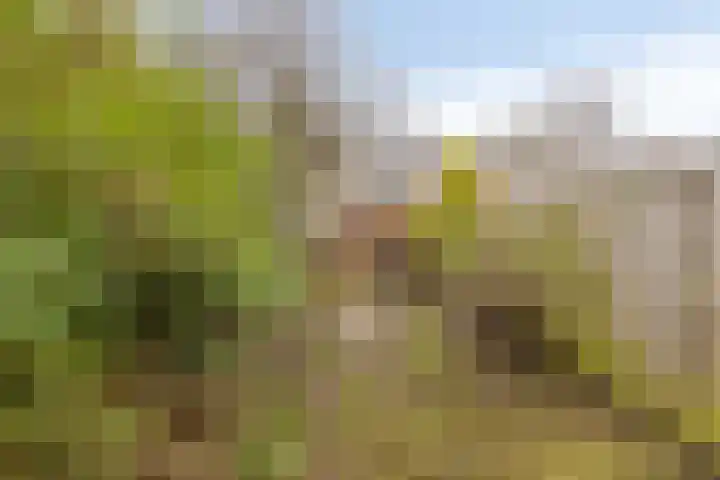 Lammerweide 6 Zoetermeer thumbnail 15