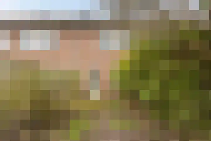 Lammerweide 6 Zoetermeer thumbnail 16