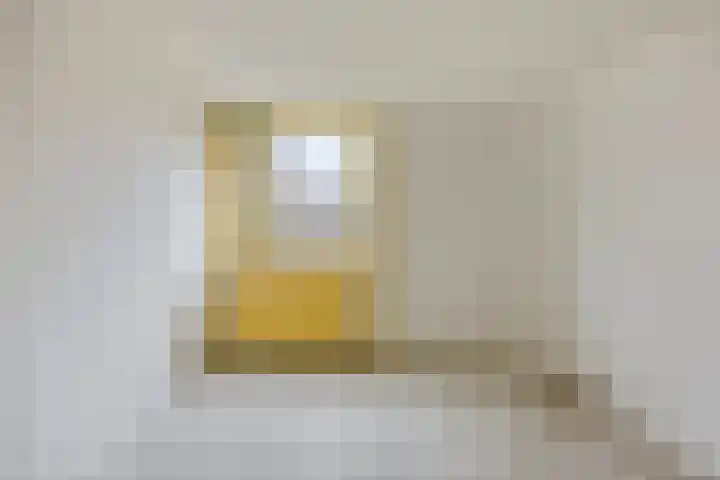 Lammerweide 6 Zoetermeer thumbnail 20