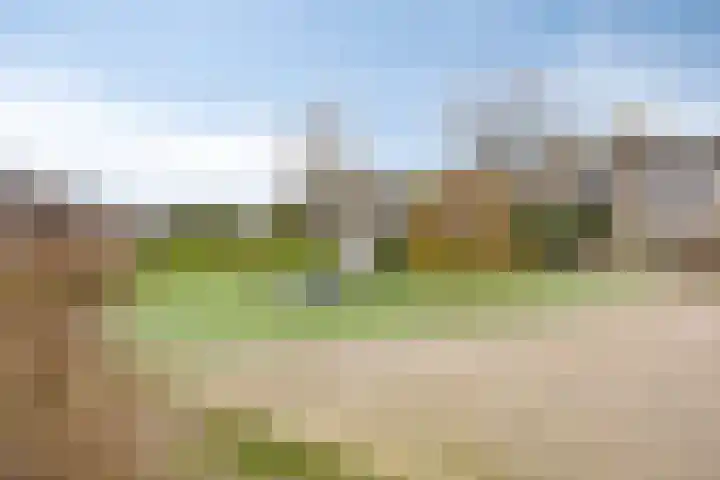 Lammerweide 6 Zoetermeer thumbnail 33