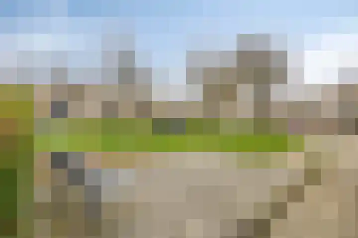Lammerweide 6 Zoetermeer thumbnail 34