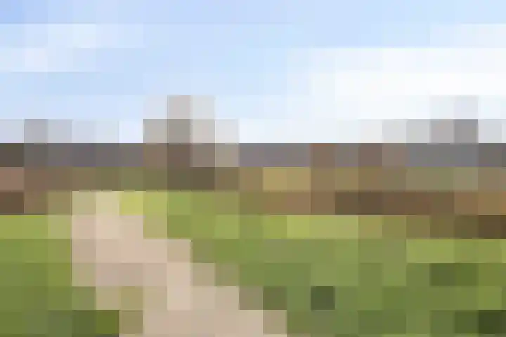 Lammerweide 6 Zoetermeer thumbnail 35