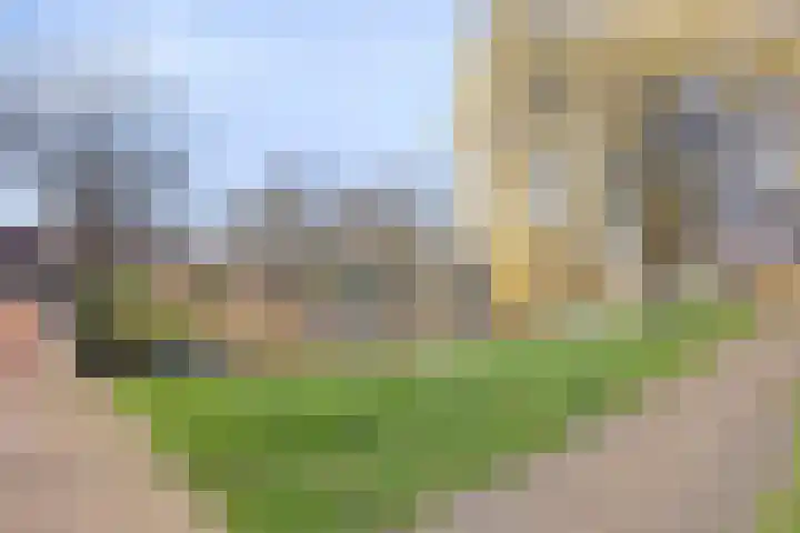 Lammerweide 6 Zoetermeer thumbnail 36
