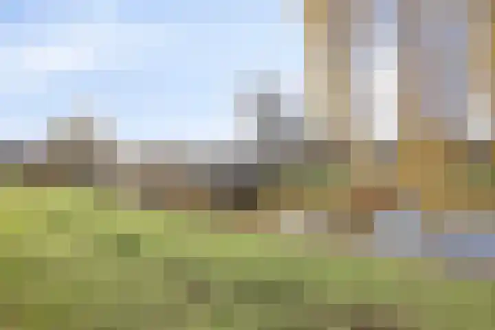 Lammerweide 6 Zoetermeer thumbnail 37