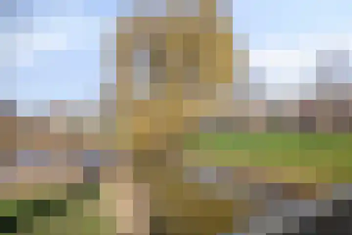 Lammerweide 6 Zoetermeer thumbnail 38