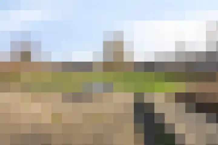 Lammerweide 6 Zoetermeer thumbnail 39