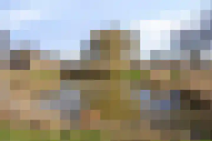Lammerweide 6 Zoetermeer thumbnail 41