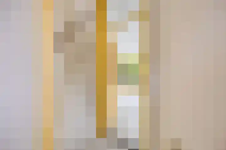 Lammerweide 6 Zoetermeer thumbnail 7