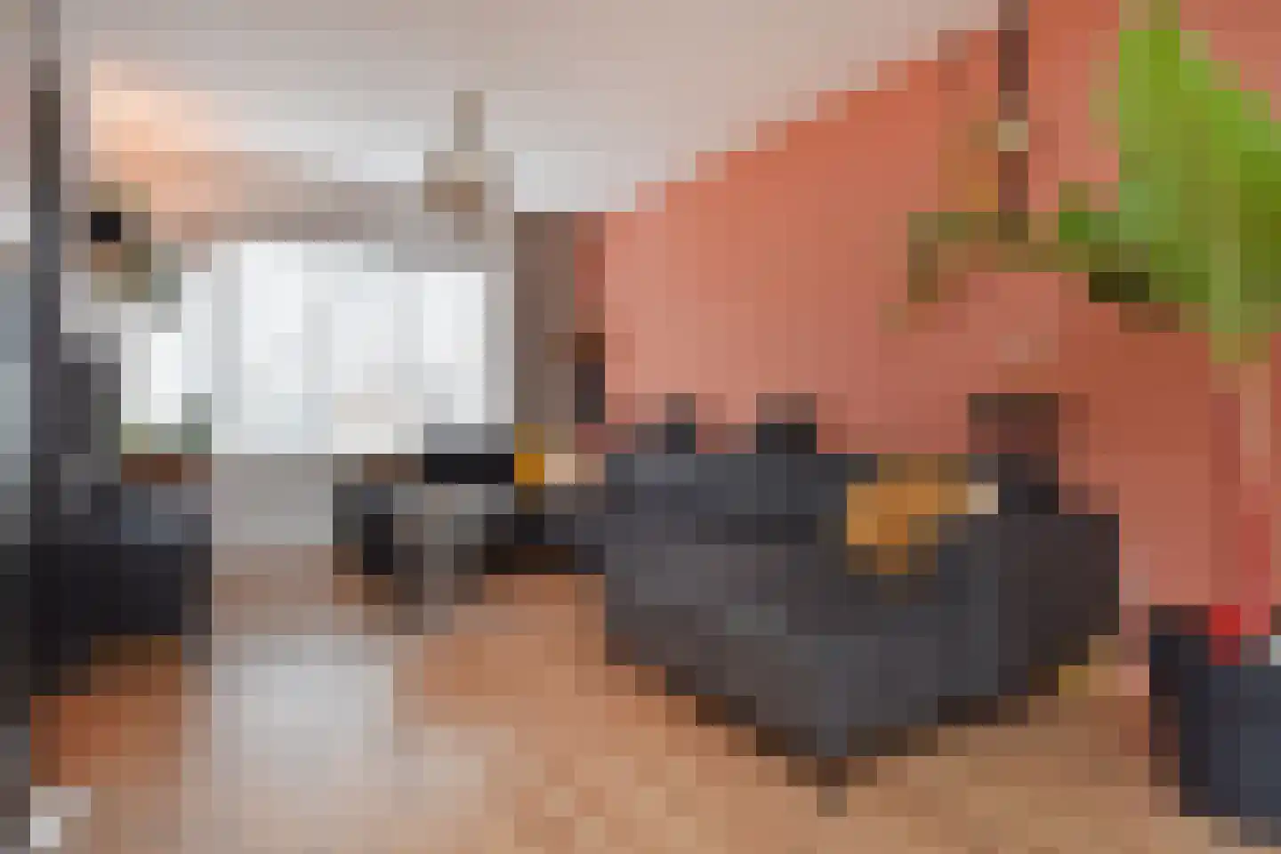 Lammerweide 67 Zoetermeer thumbnail 7