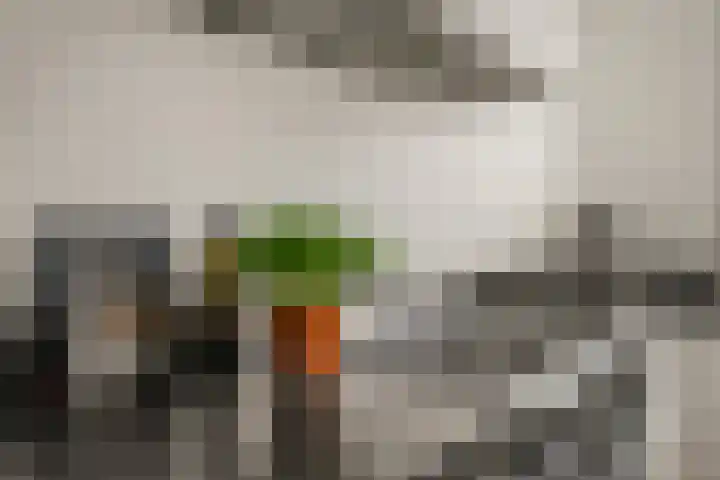 Lamoen 11 Leusden thumbnail 12