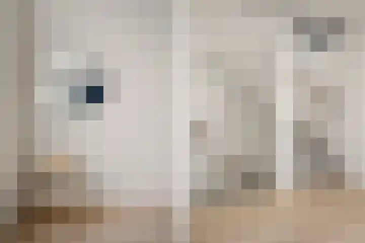 Lamoen 11 Leusden thumbnail 15