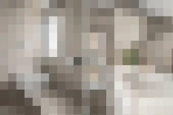 Lamoen 11 Leusden thumbnail 20