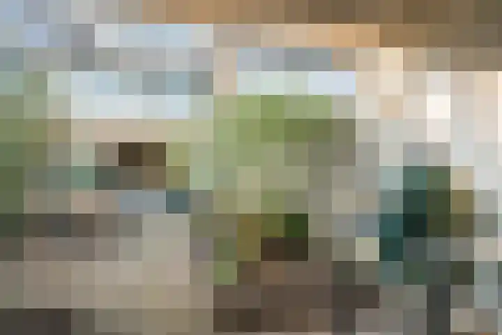 Lamoen 11 Leusden thumbnail 26