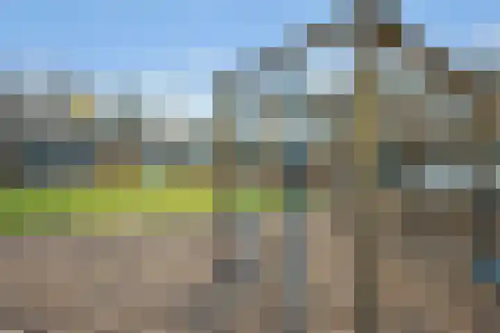 Lamoen 11 Leusden thumbnail 27