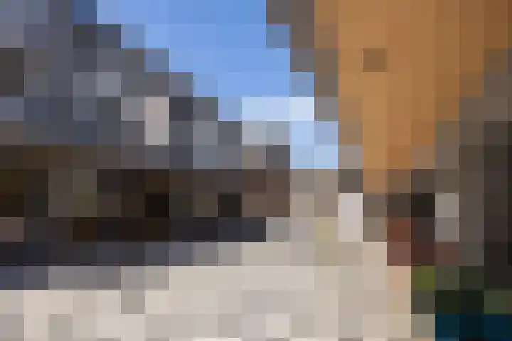 Lamoen 11 Leusden thumbnail 30