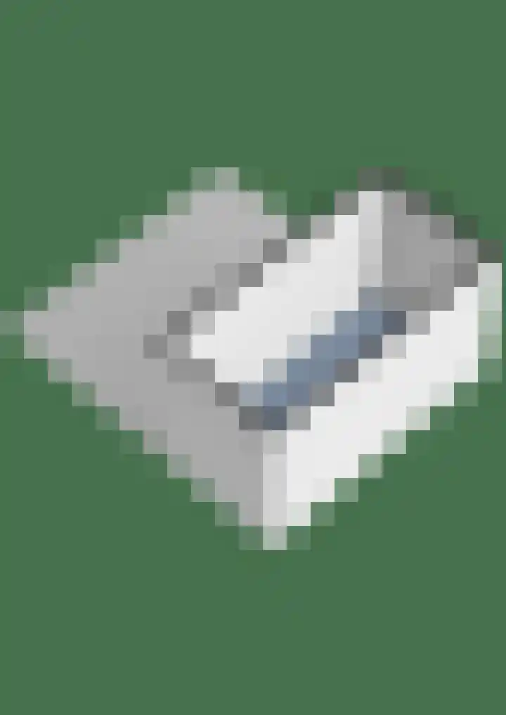 Lamoen 11 Leusden thumbnail 34