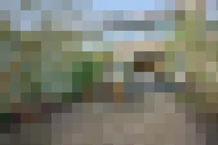 Lamoen 11 Leusden thumbnail 4