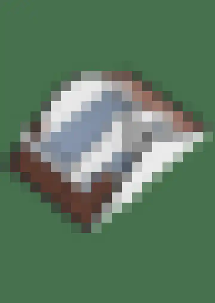 Lamoen 11 Leusden thumbnail 41