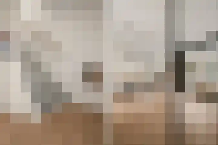 Lamoen 11 Leusden thumbnail 6