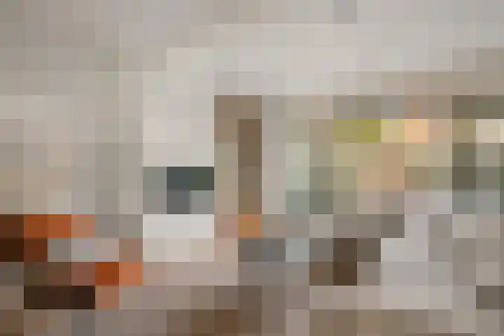Lamoen 11 Leusden thumbnail 7