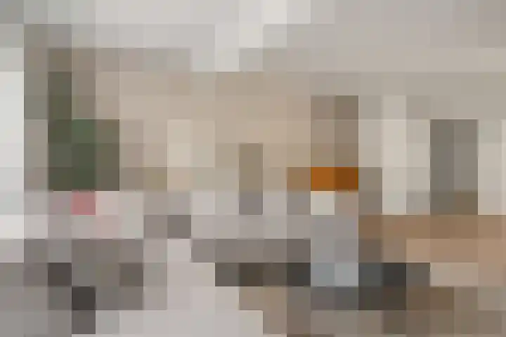 Lamoen 11 Leusden thumbnail 8