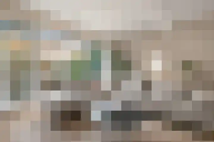 Lamoen 11 Leusden thumbnail 9