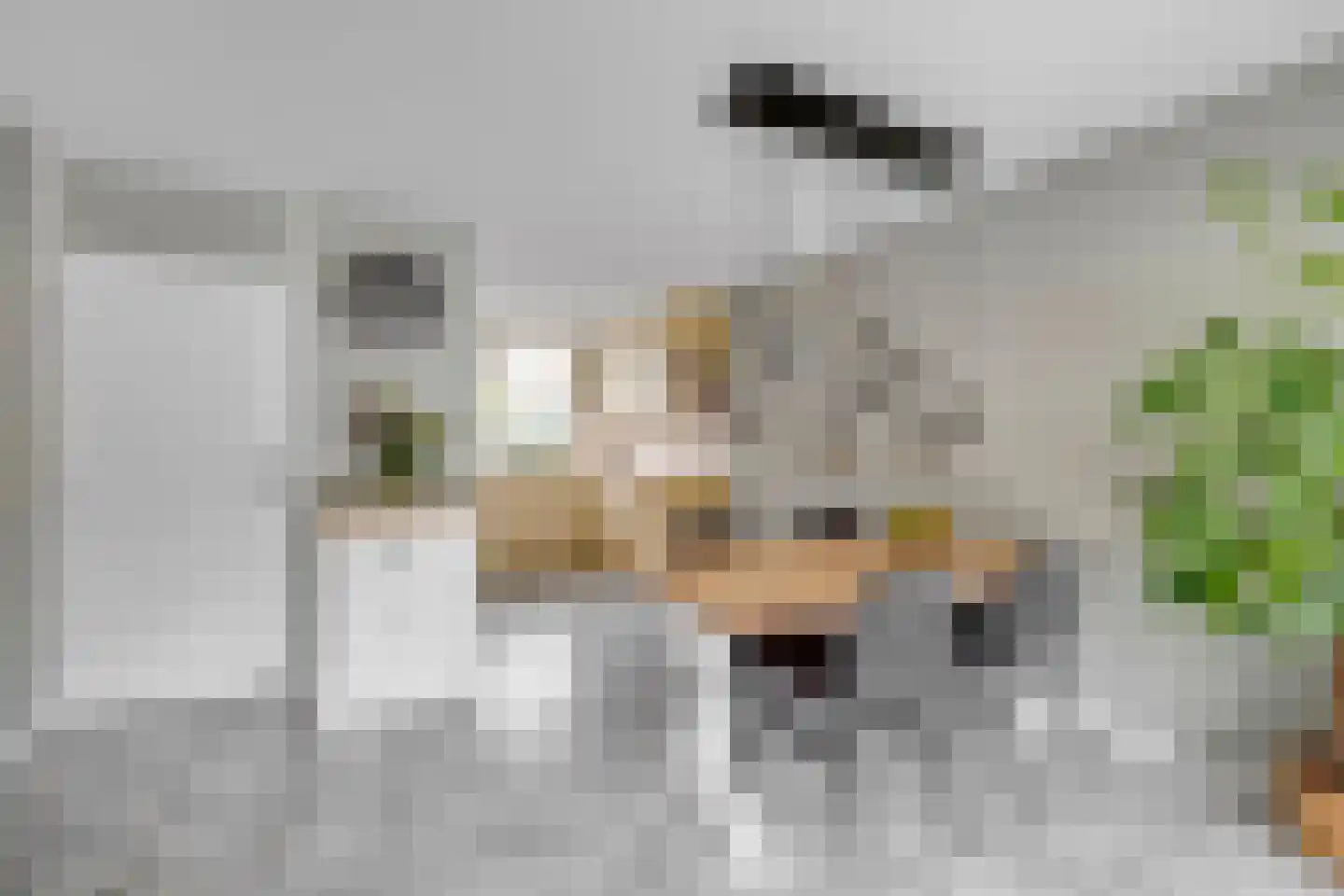 Lamoen 19 Brielle thumbnail 14