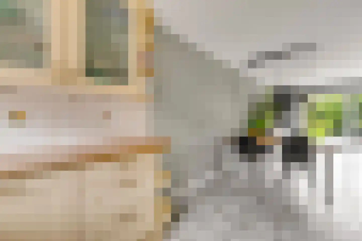 Lamoen 19 Brielle thumbnail 17