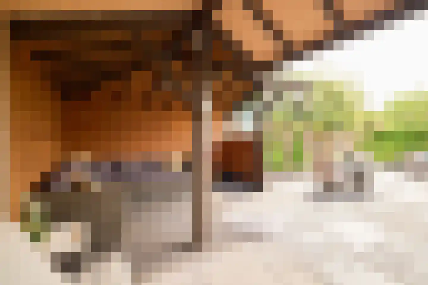 Lamoen 19 Soest thumbnail 39