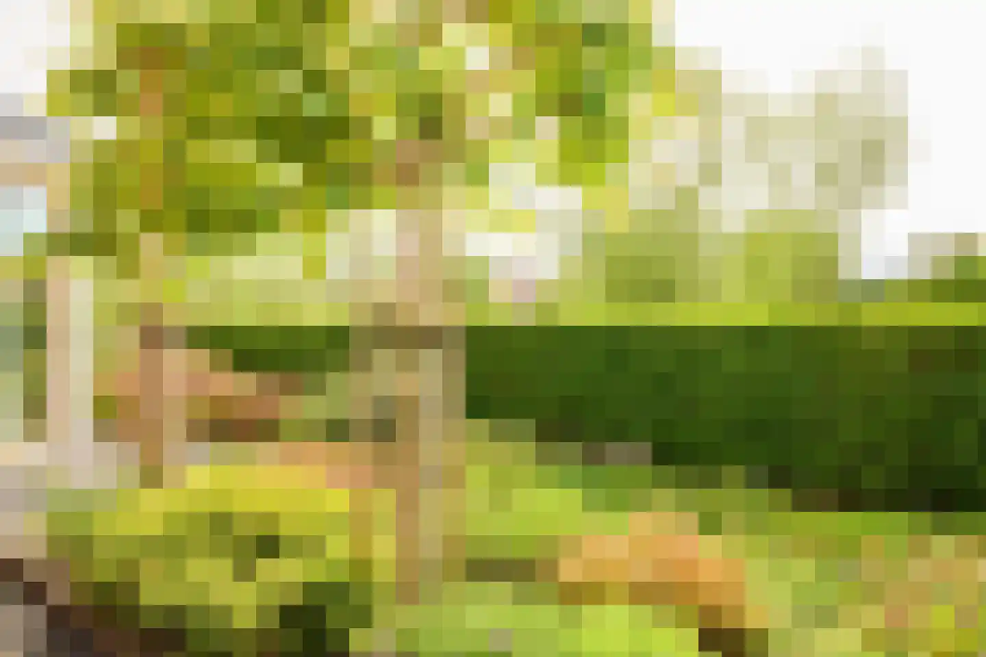 Lamoen 19 Soest thumbnail 42