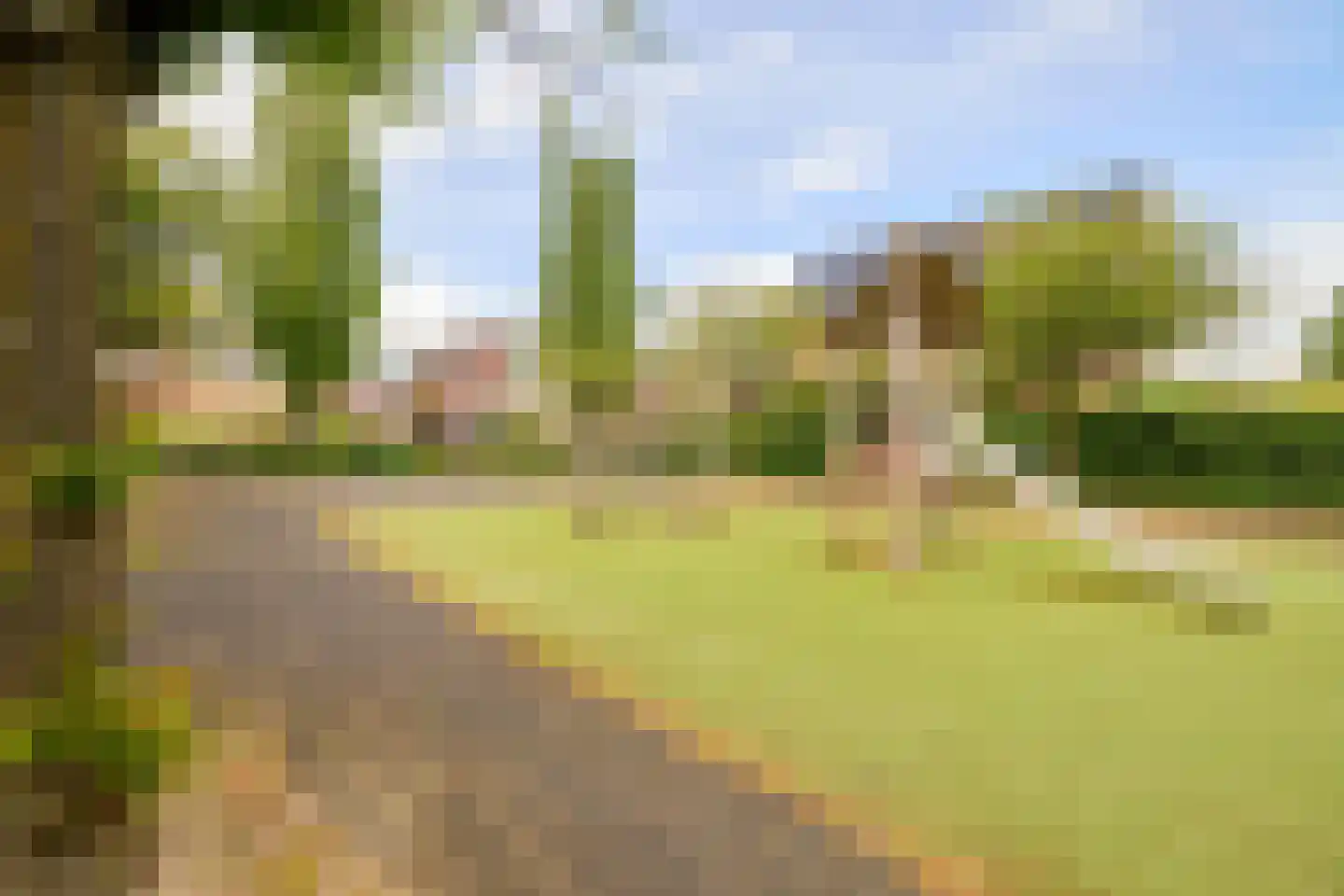 Lamoen 19 Soest thumbnail 45