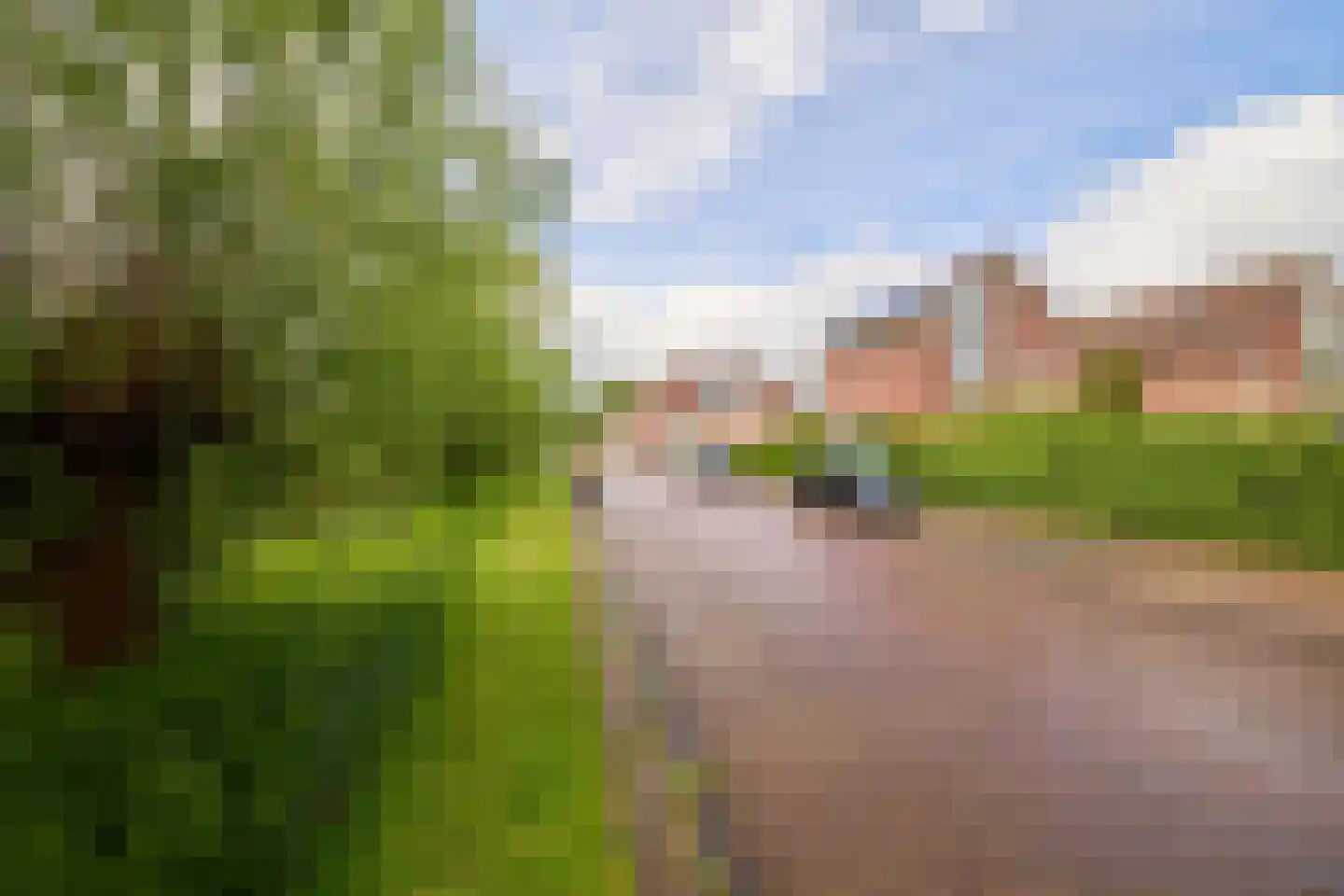 Lamoen 19 Soest thumbnail 46