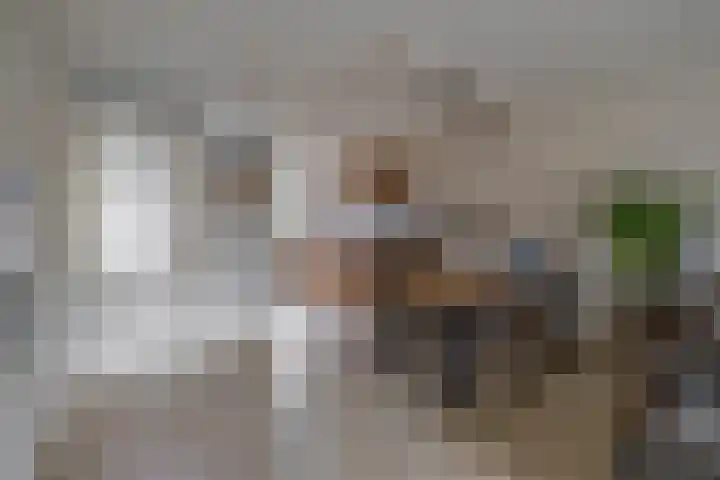 Lamoen 7 Brielle thumbnail 11