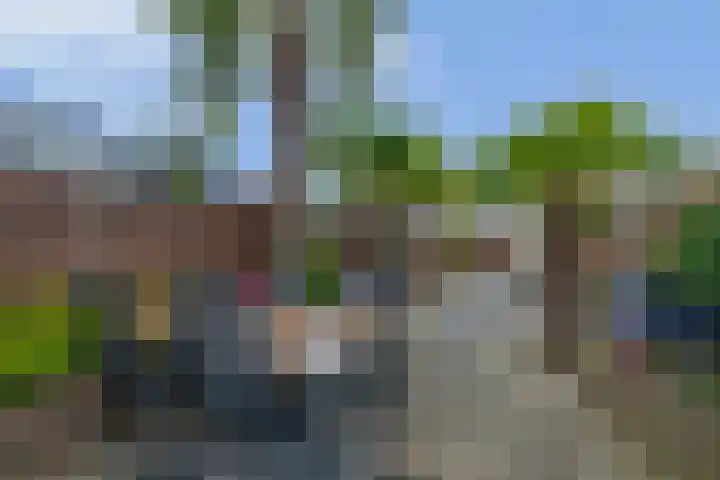 Lamoen 7 Brielle thumbnail 29