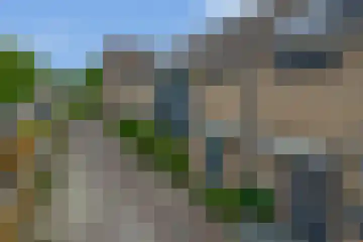 Lamoen 7 Brielle thumbnail 32