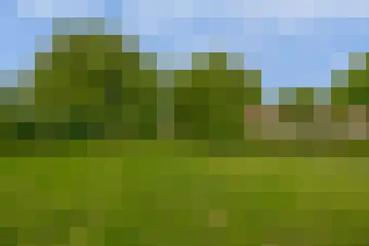 Lamoen 7 Brielle thumbnail 34