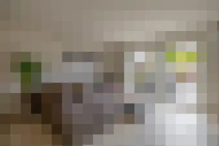 Lamoen 7 Brielle thumbnail 8