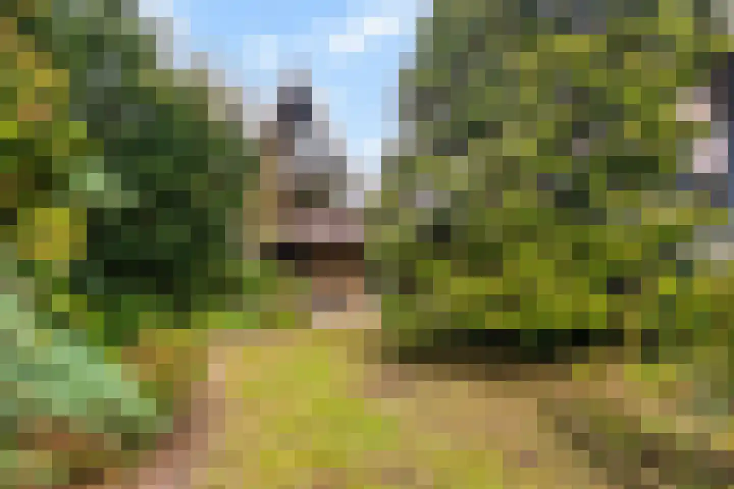 Lamoen 8 Barendrecht thumbnail 33